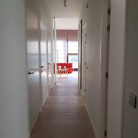 60 Meters From The Sea